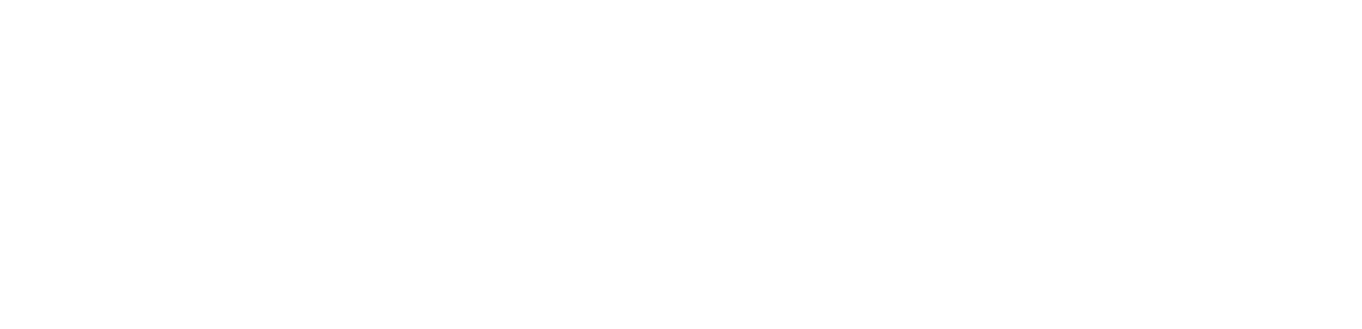 SpeedyNotes